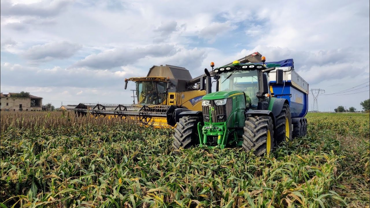 Trebbiatura Sorgo 2019 | New Holland | John Deere | Zaccaria | Visini