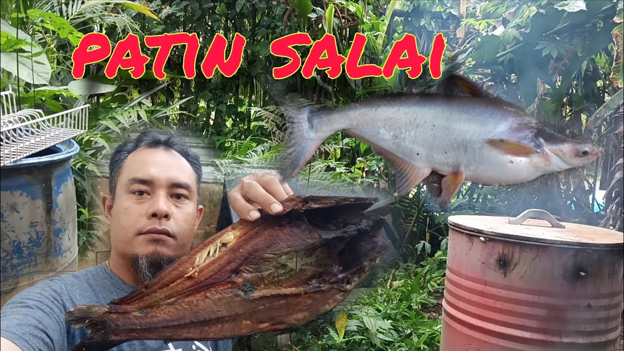 Adakah ia sama seperti salai belukang????