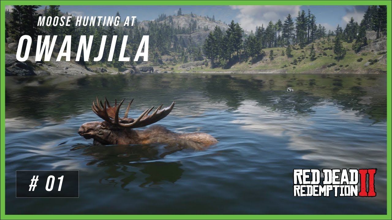 Moose Hunting at Lake Owanjila. The Easy Way!