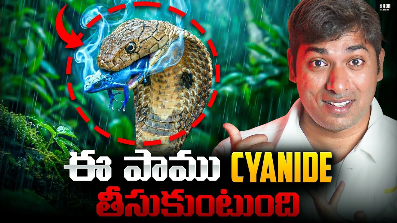 TATA SIERRA is Back Just 11.49 Lakhs Onwards 🚀 Snakes In Amazon Forest | Random Facts | VR Facts