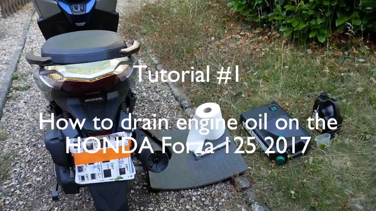Scooter #20 Tuto #1 Drain the Engine Oil of Honda Forza 125 2017