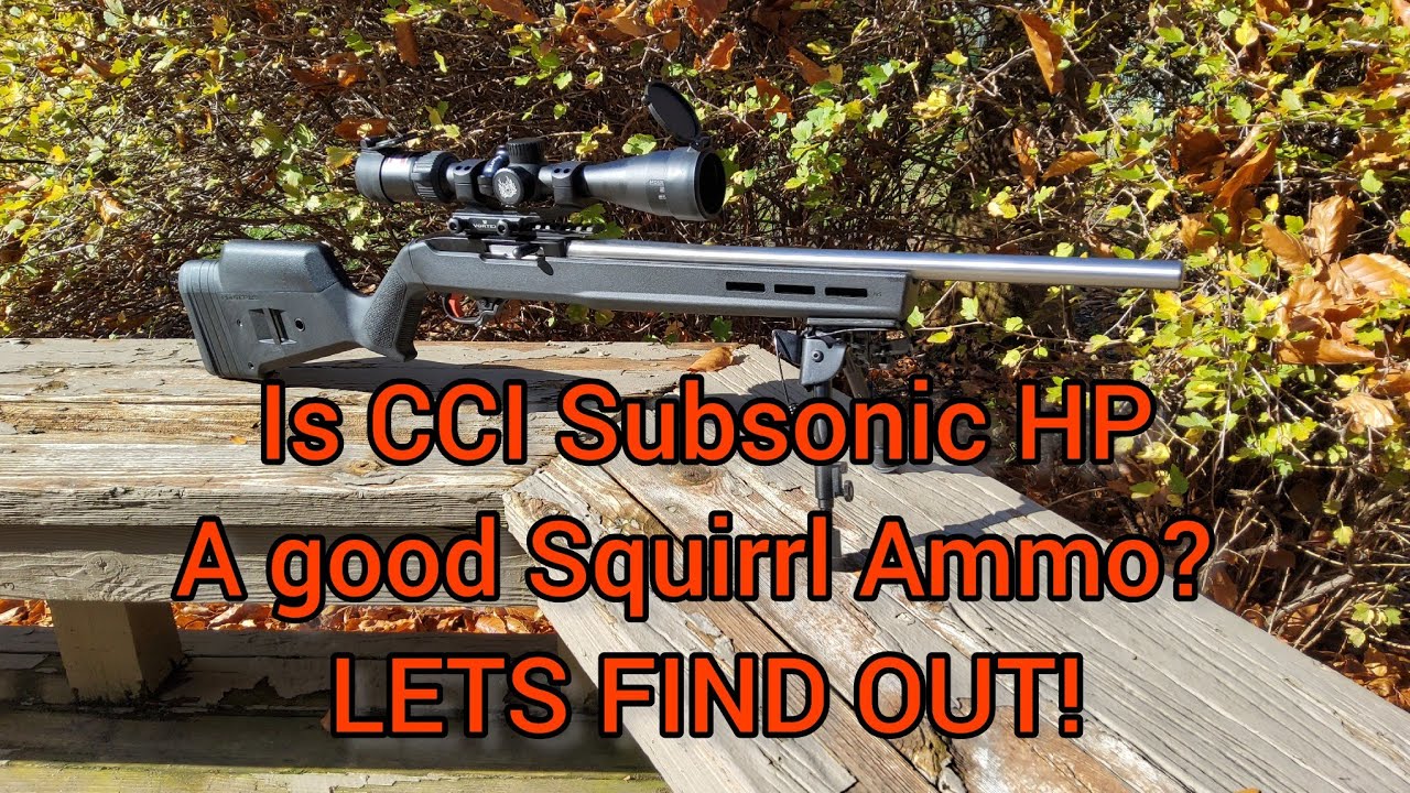 Подходит ли CCI Subsonic HP .22LR для «Белки»? Давайте выясним!