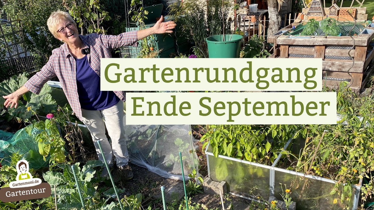 So siehts Ende September im Garten aus - Blumen- und Gemüsebeete, Obstbäume und Sträucher