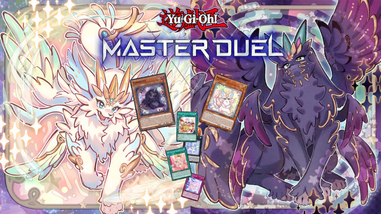 🐾 Purrely Master Duel – From Calm to Chaos | 3 Matches (No  Commentary)