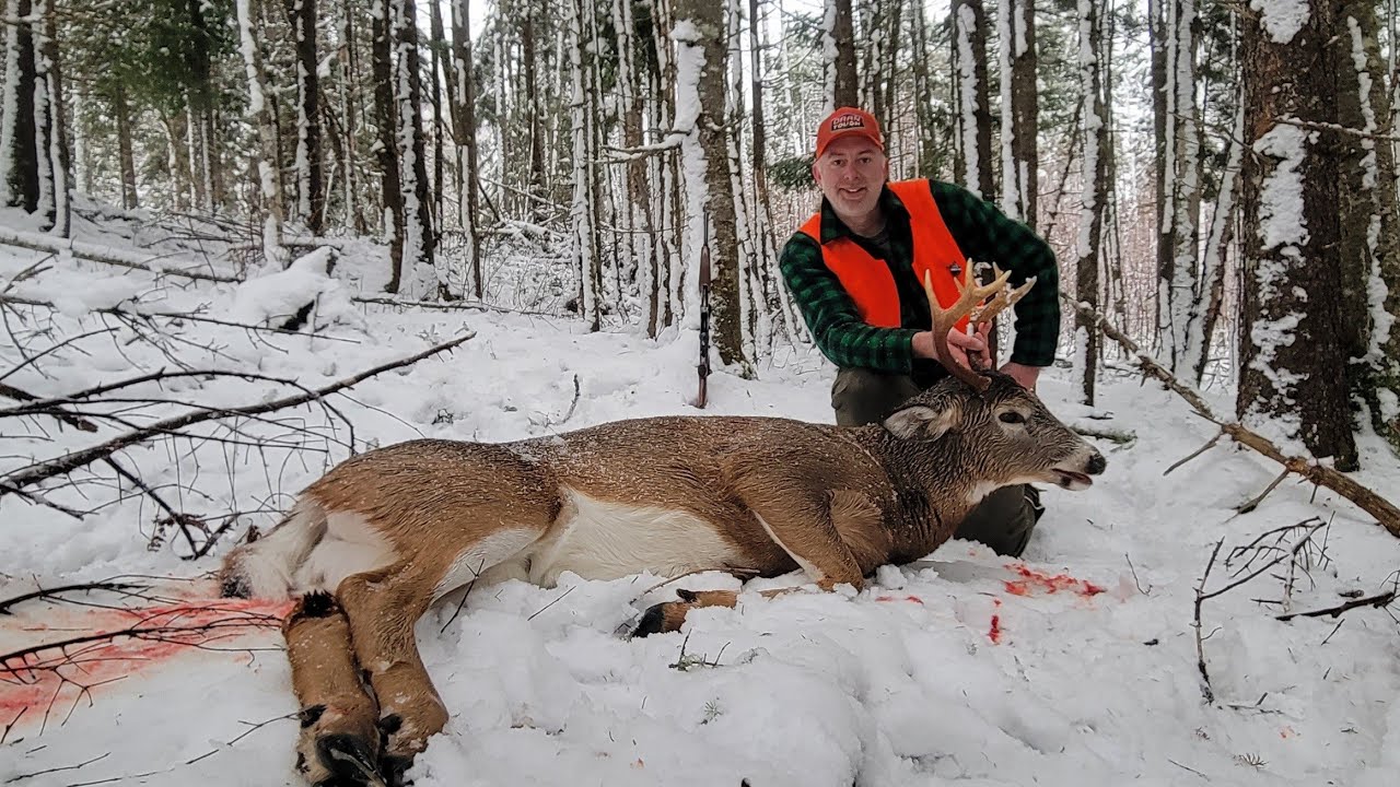 TRACKING A BUCK IN 20 MINUTES /MAINE