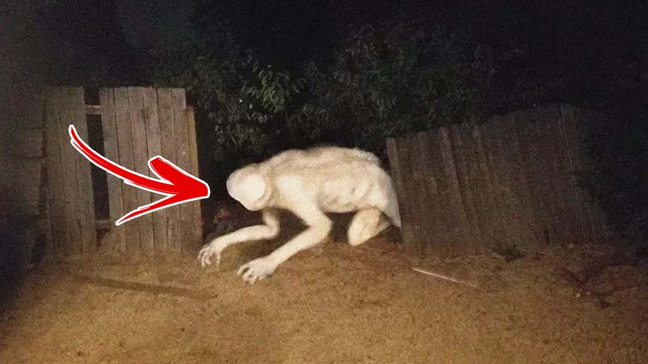 Top 5 Trevor Henderson Creatures That Should Be In The SCP Foundation