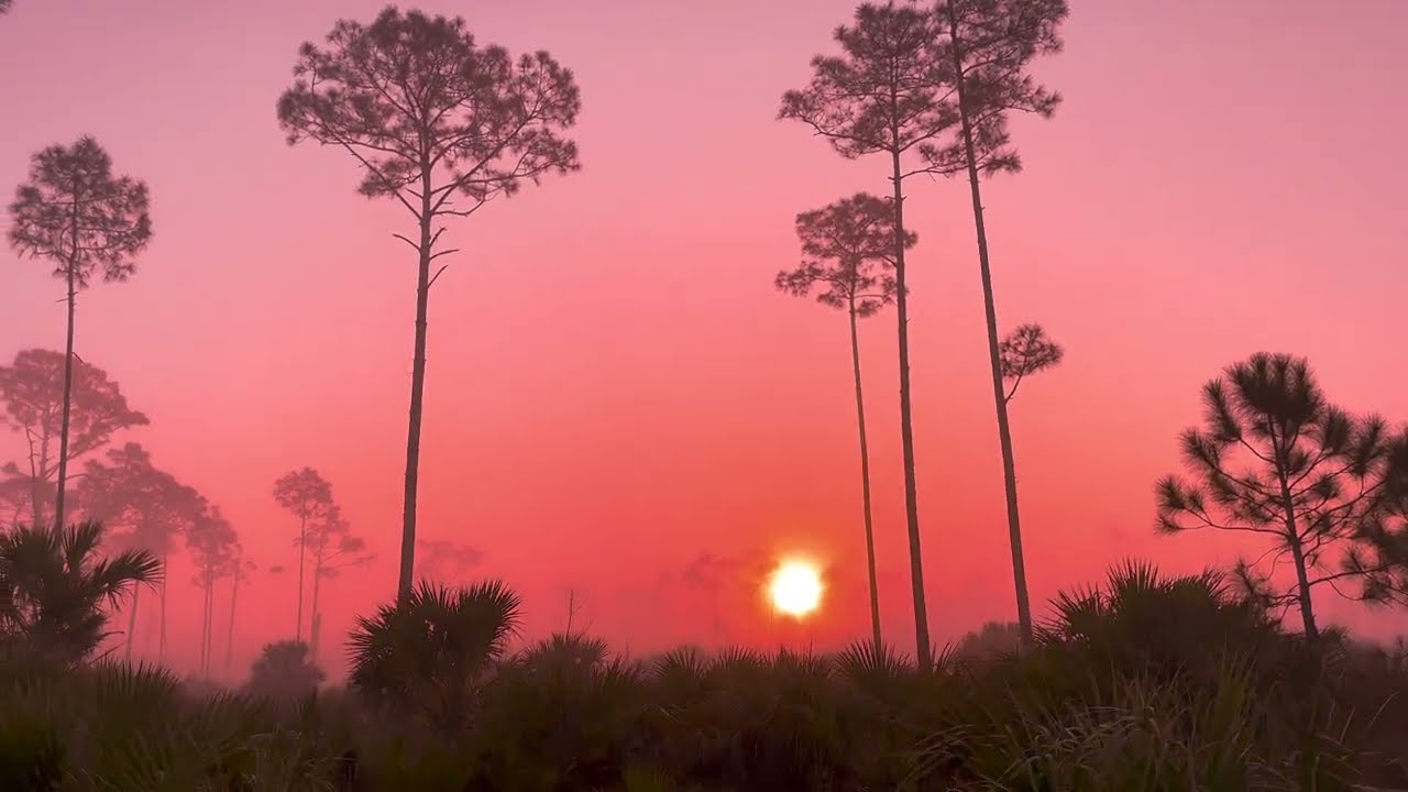 Sunrise in Picayune - jeeping in Florida offroading in swfl jeep wrangler