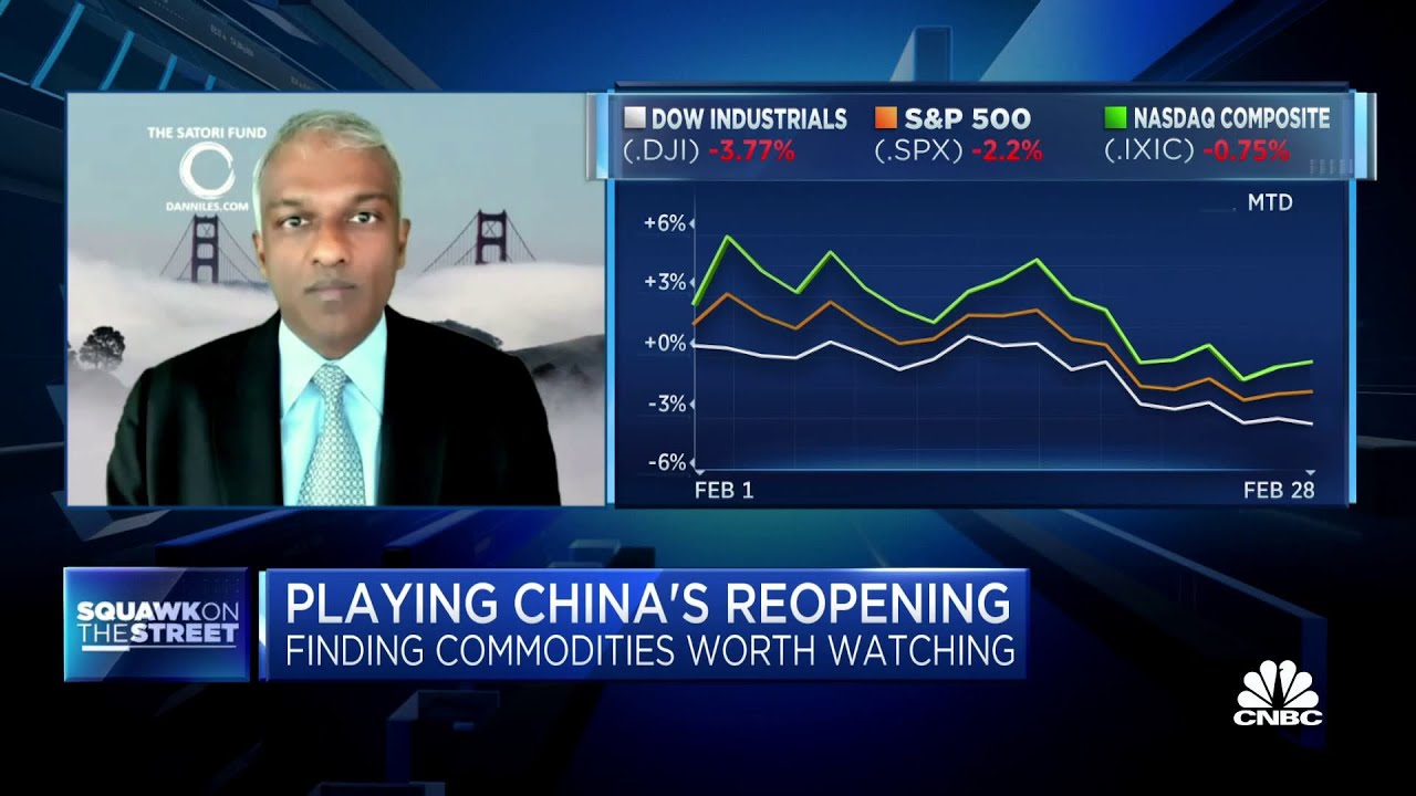 We have our portfolio in a lot of commodity-driven names, says The Satori Fund's Dan Niles