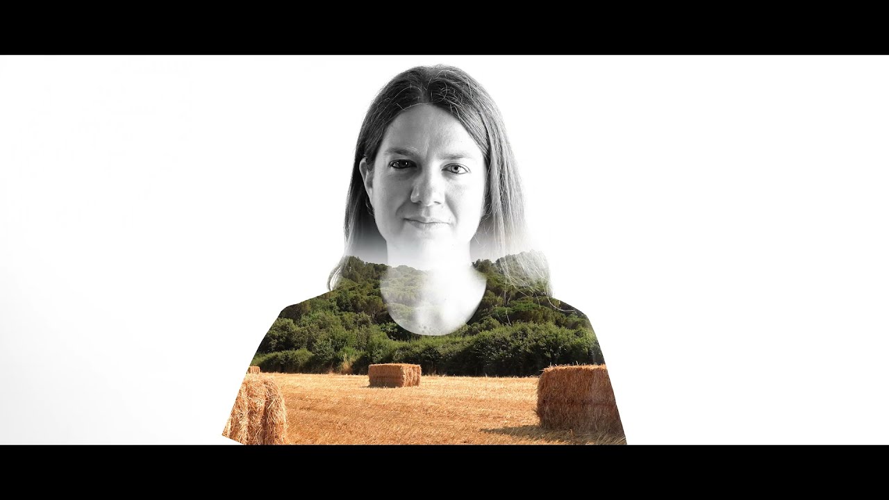 Tona Gafarot | Plomalls de llumeneta