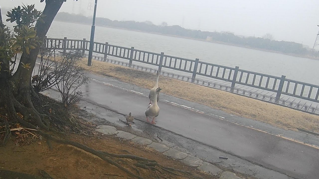 雪の神之池260207