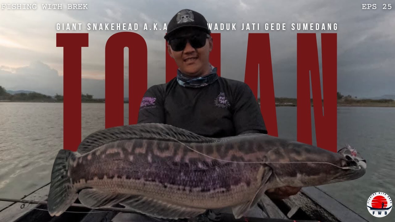 Fishing With Brek Eps.25 - TOMAN WADUK JATIGEDE ON FIRE ❗❗❗ STRIKE BERTUBI TUBI SAMPAI CAPEK PREN❗❗❗