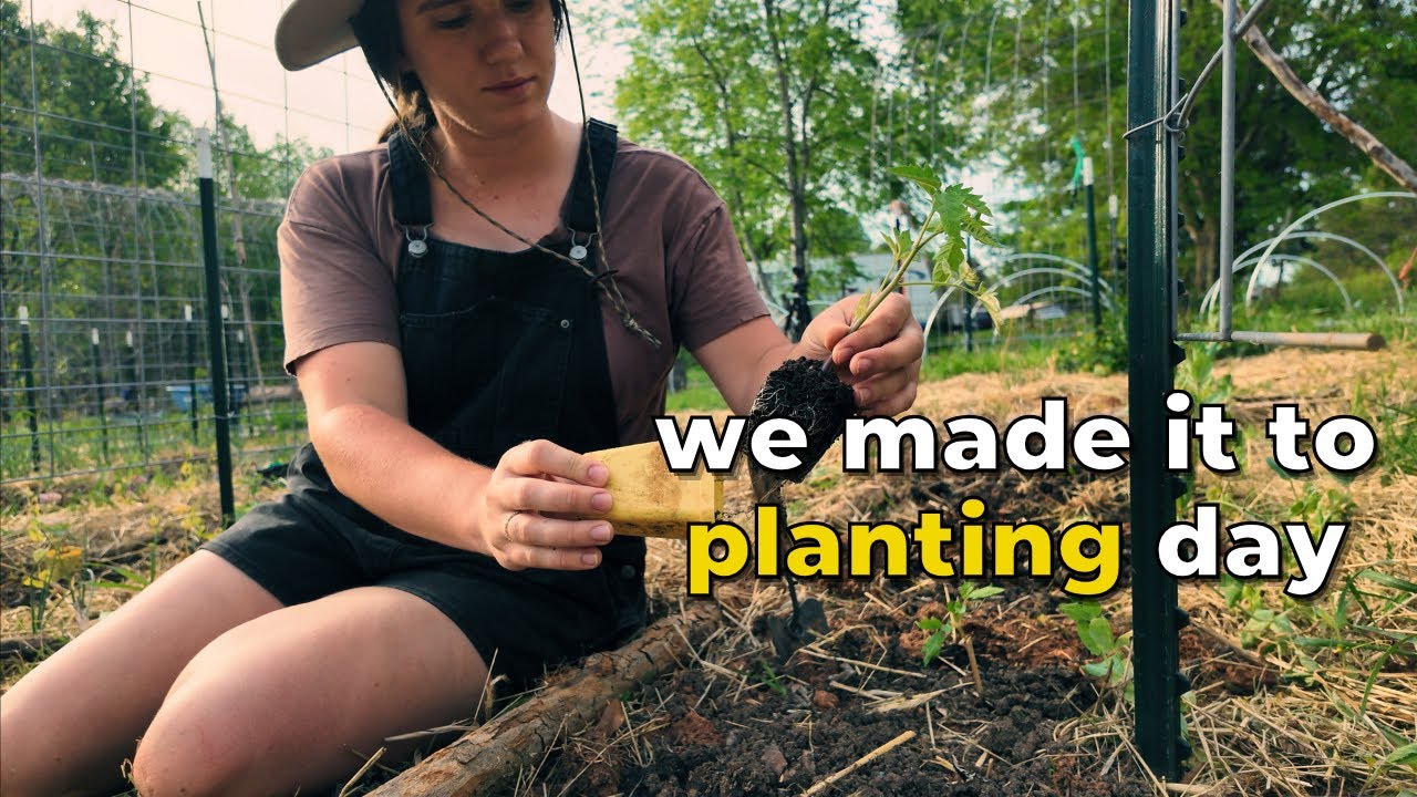 This Is the Year It FINALLY Worked (Calico Cow Acres Homestead)