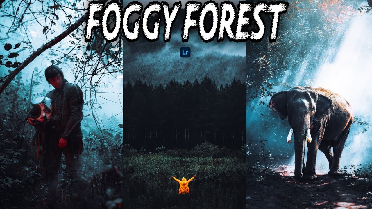 FOGGY FOREST Preset Tutorial | Professional Forest Photography | Lightroom Presets DNG Free Download