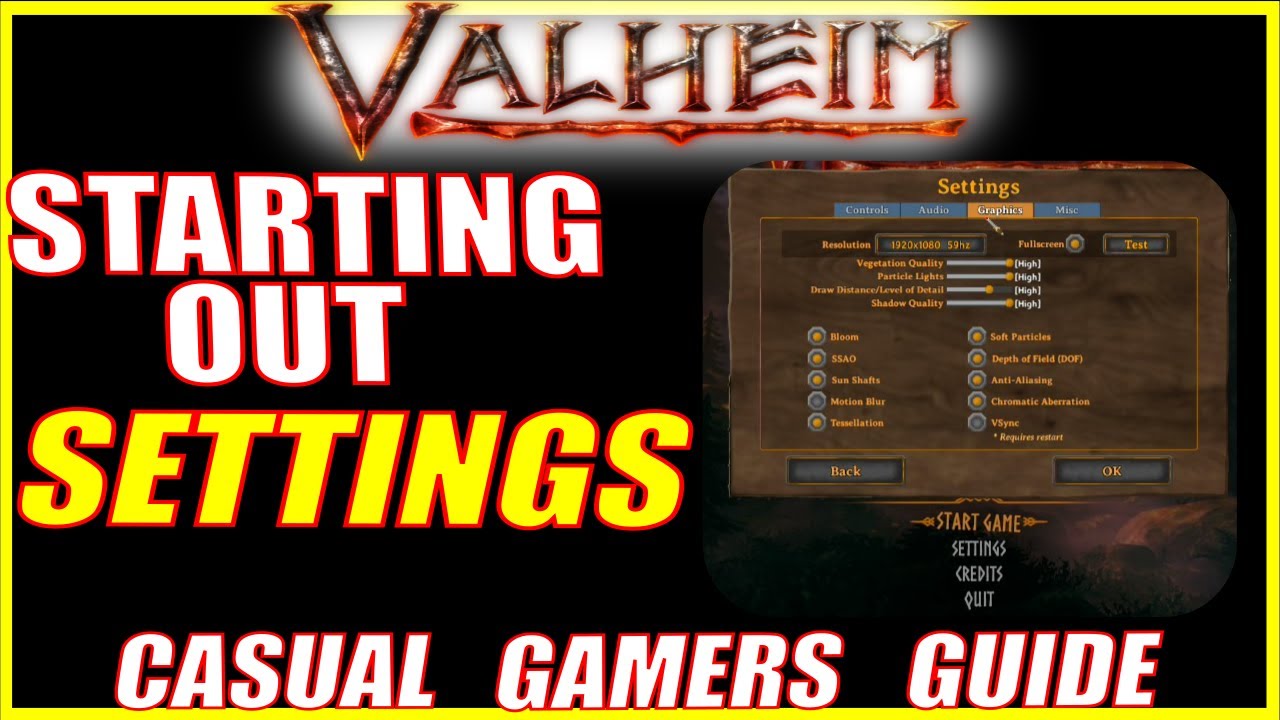 Valheim Game Settings - Beginner's Guide