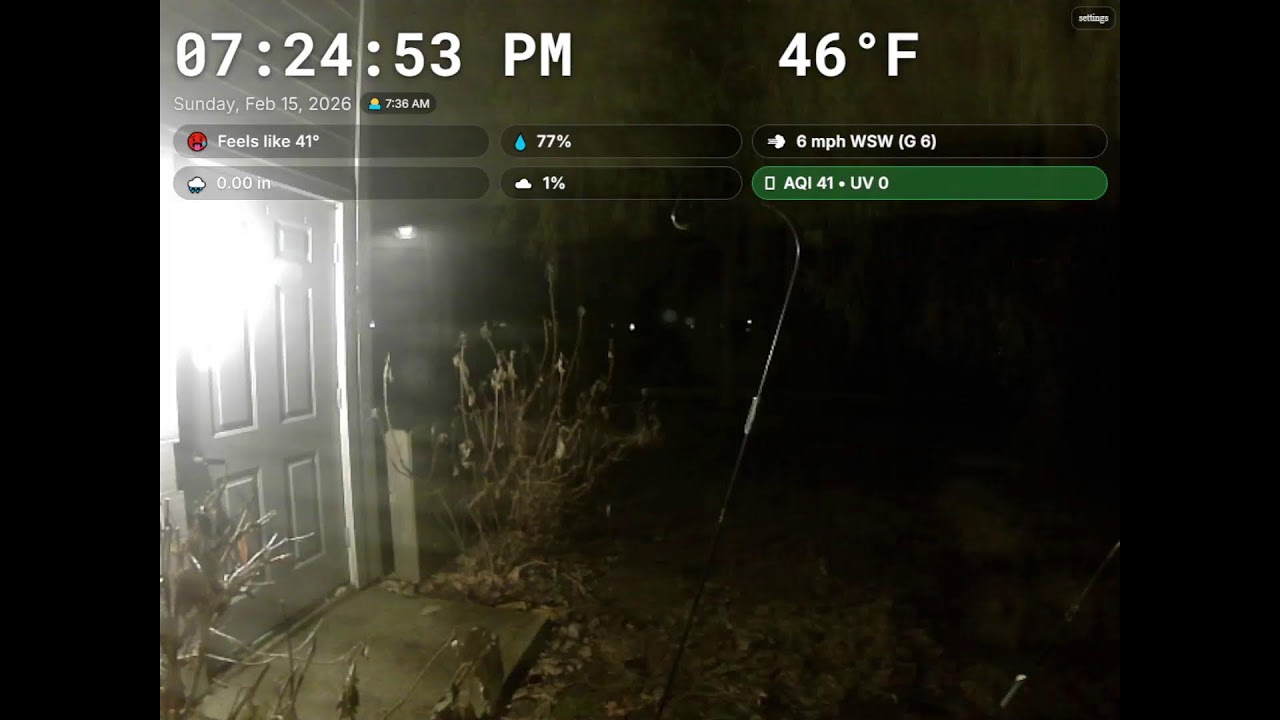 Backyard Live Stream2026-02-15