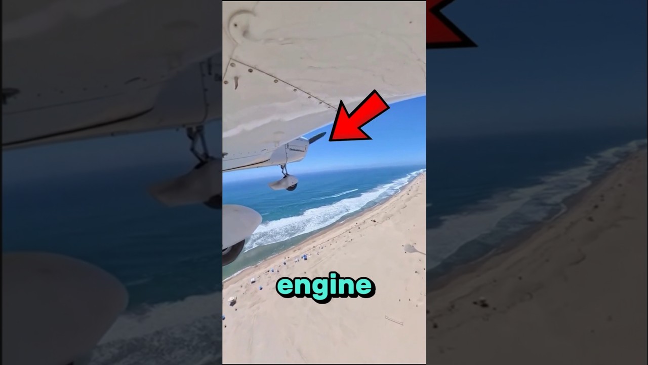 Engine Failure But Landed On Beach🛩🙆 #airplane #aviation #flight #pilot