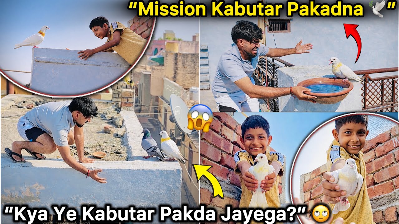 200 km Dur Kabutar Pakdne Gaye 😱 || Itna Chalak Kabutar… Pakadna Namumkin?