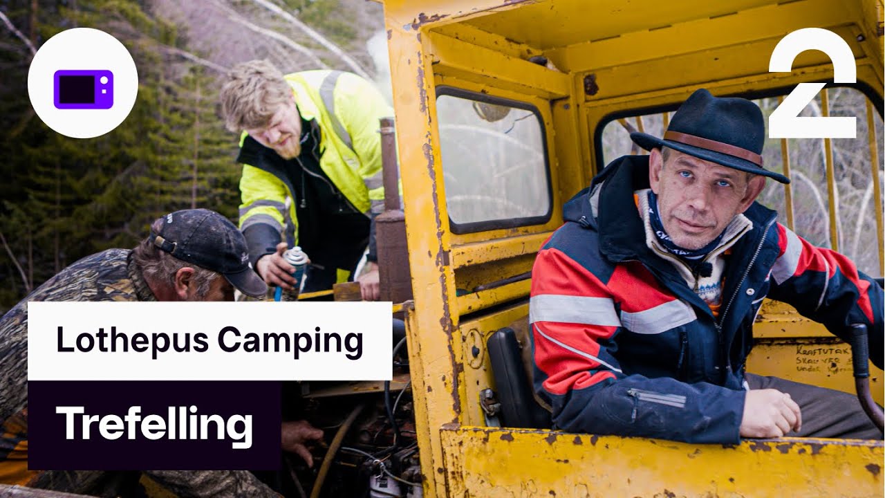 Trefelling | Lothepus Camping | TV 2
