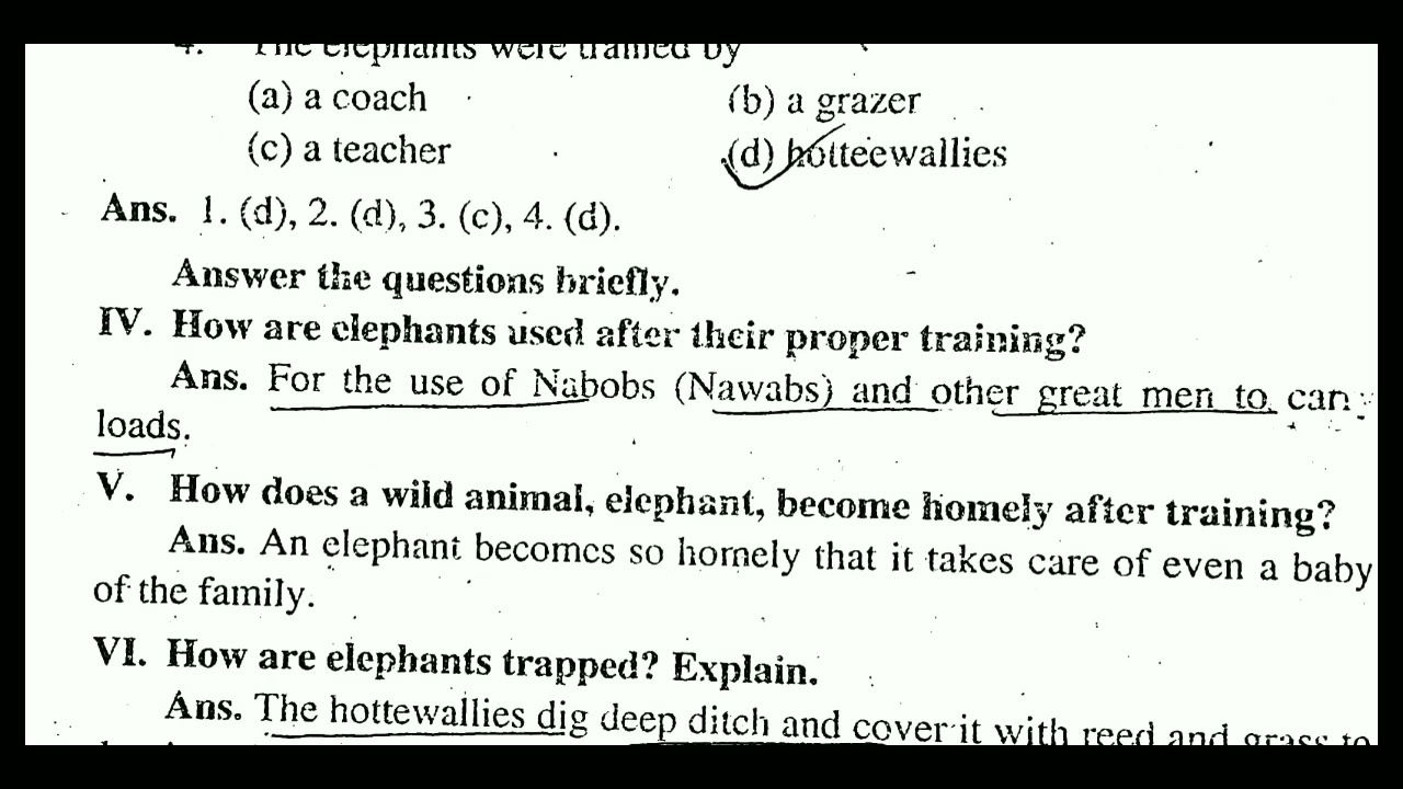 (Letter to cork ) bbose English question answer discussion in short ,quick revision video