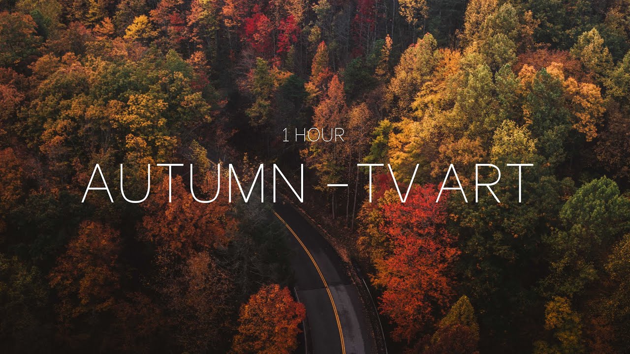 TV ART:AUTUMN | 1 HOUR | 13 PHOTOS | NO SOUND