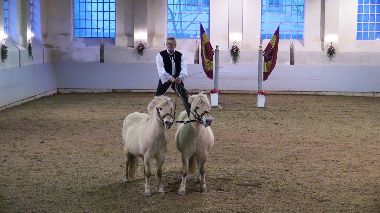 2025 - Ausschnitte aus dem Weihnachtsreiten des Reitinstituts der Egon v. Neindorff-Stiftung