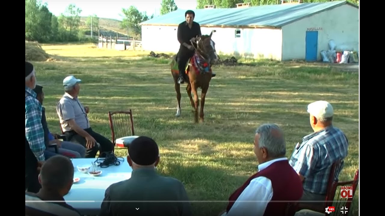 Bizim Yıldırım - Bizim elden olsun