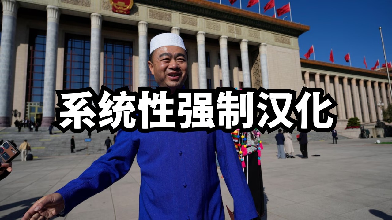 民族团结进步促进法：一次国家级系统性强制汉化/直播精选