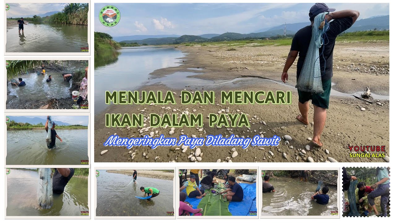 MENJALA DAN MENCARI IKAN DIMUSIM KEMARAU DI PAYA DILADANG SAWIT