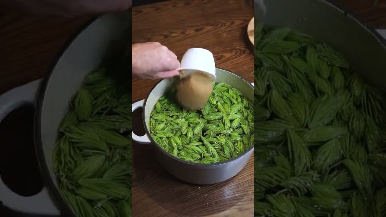 How to make spruce beer*
