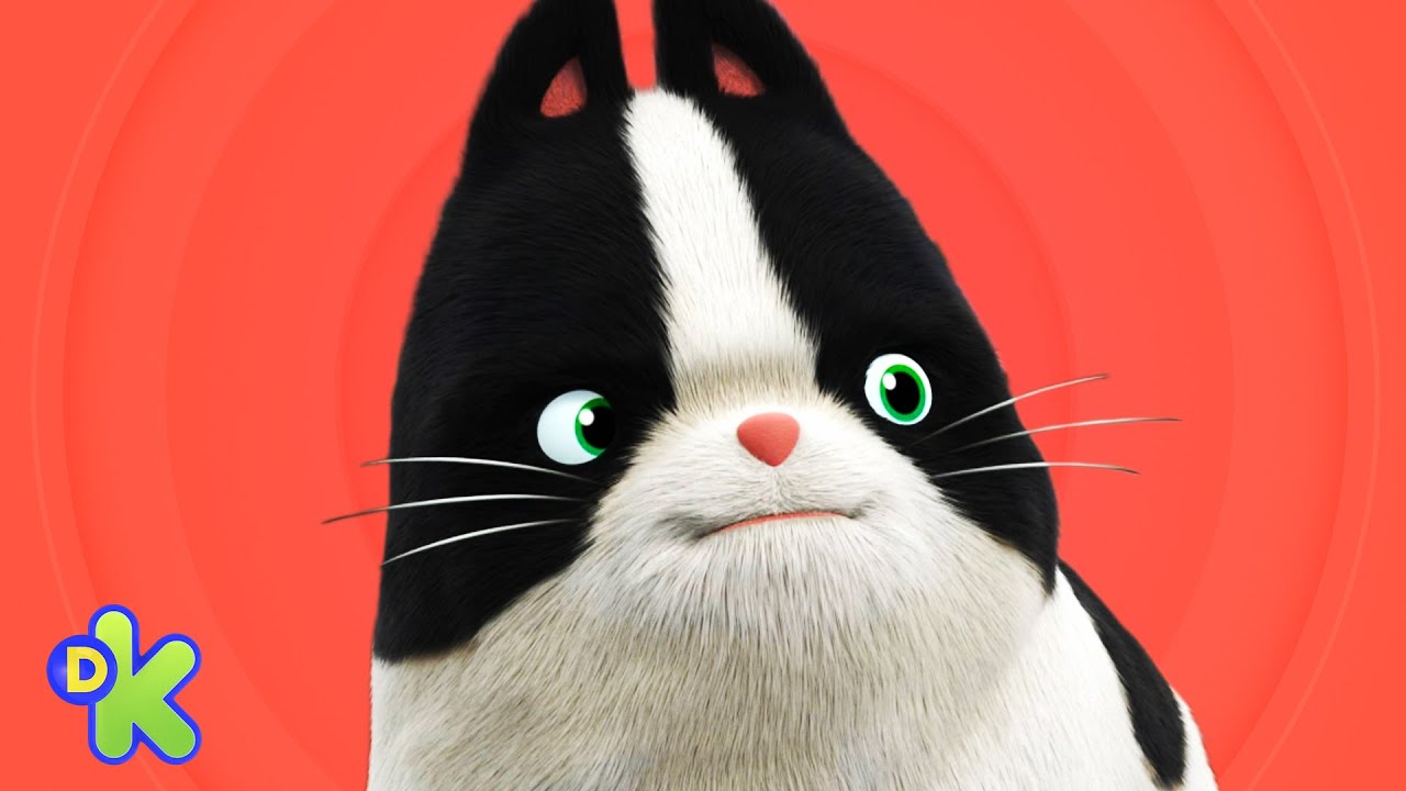 Binky e Gordon recebem uma visita especial | Agente Binky Ao Resgate! | Discovery Kids Brasil