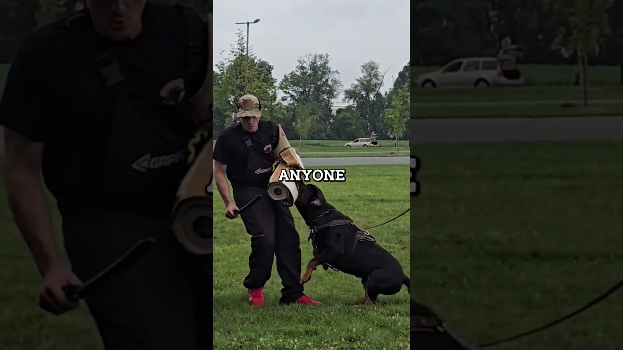 5 Scariest Military Dogs