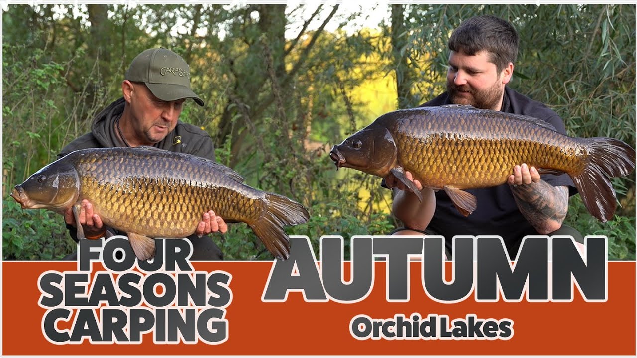 **CARP FISHING**   FOUR SEASONS CARPING...AUTUMN...ORCHID LAKES
