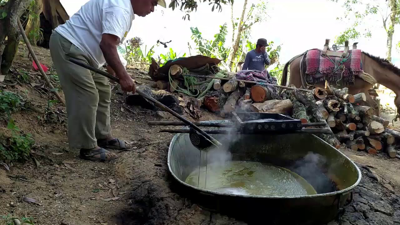 Elaboración de Panela en la Sierra Norte; Oaxaca (San Francisco Yateé)