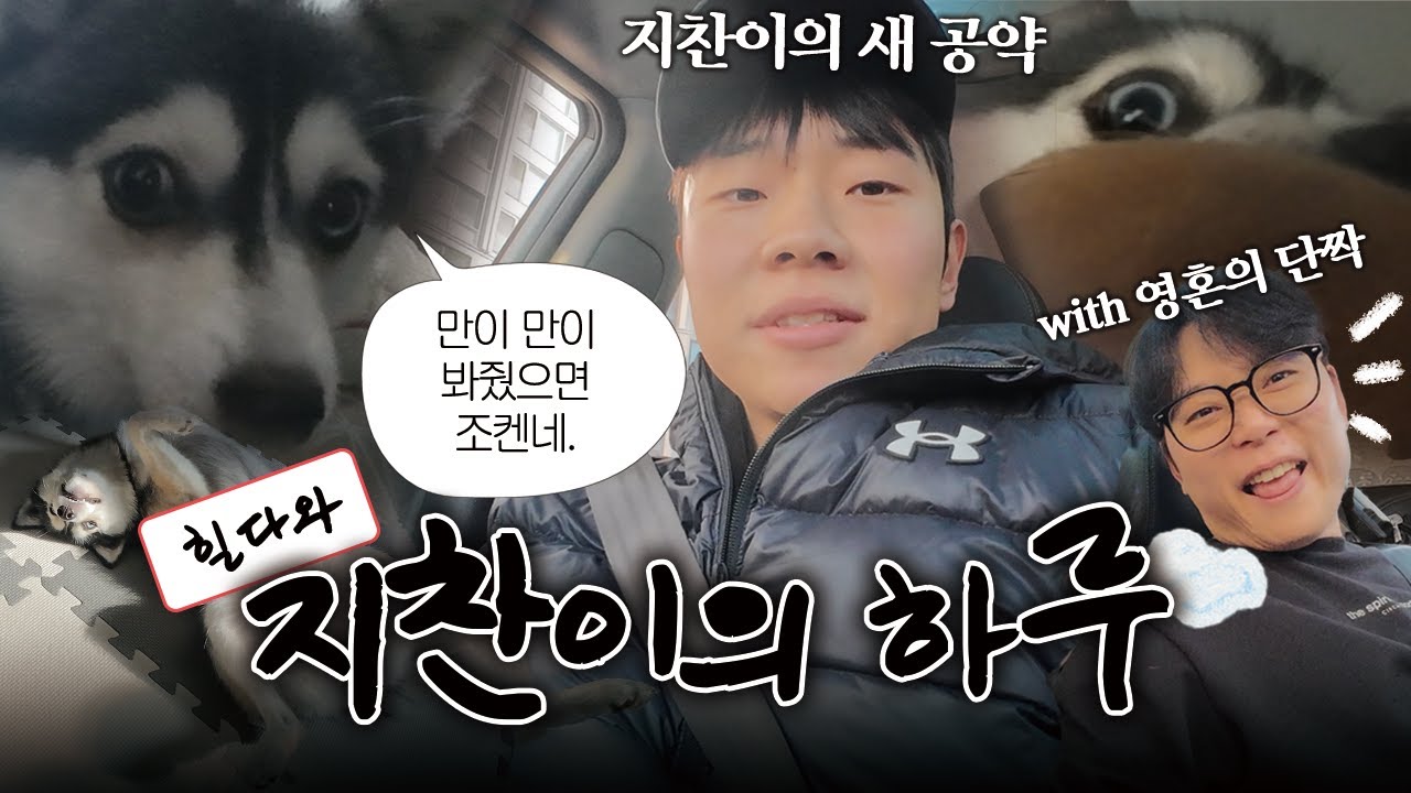 왔다네 정말로~ 지찬이의 하루가 왔다네🐶🎵 (특별출연: 힐다, 승규)