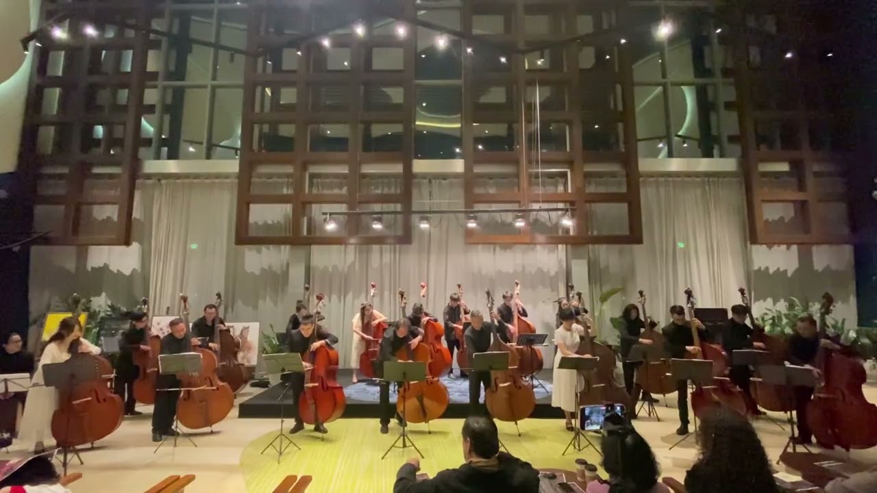 Pizzicato Pollka - JOHAN STRAUSS