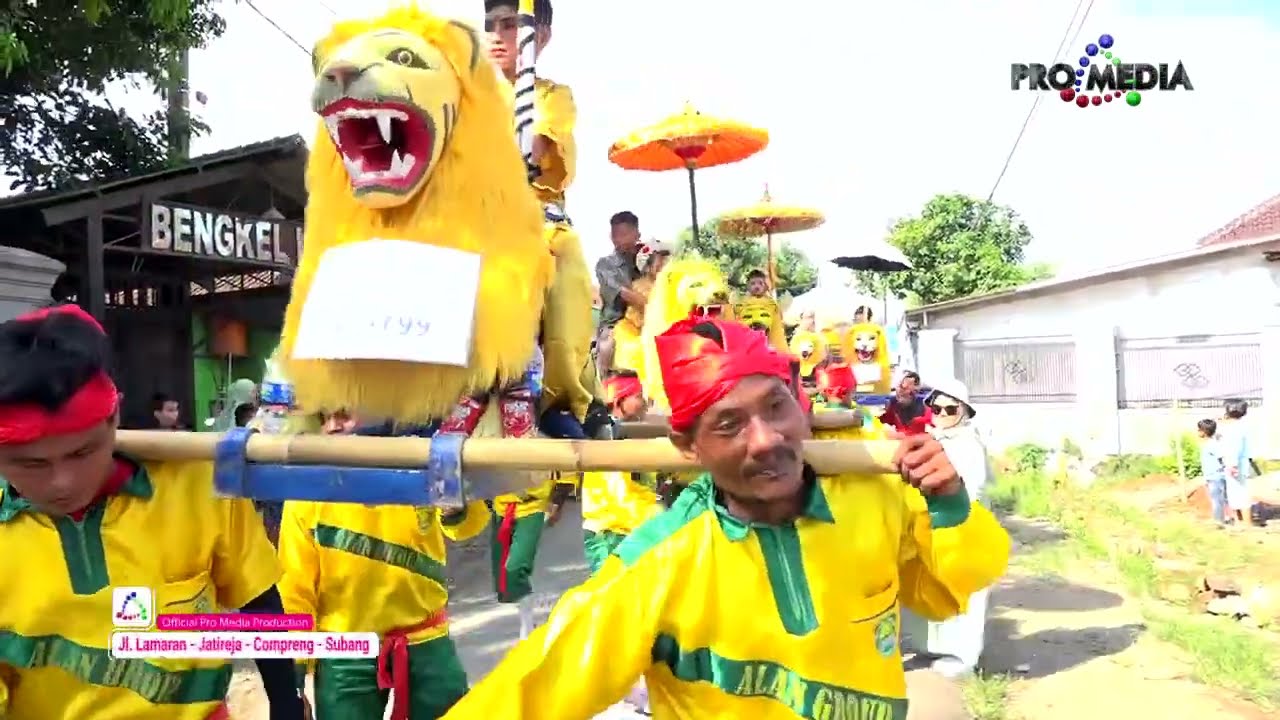 KEMBANG BOLED - SINGA JAIPONG ALAN GROUP DEWA TAROMPET LIVE BELENDUNG CIBOGO 9-7-2023