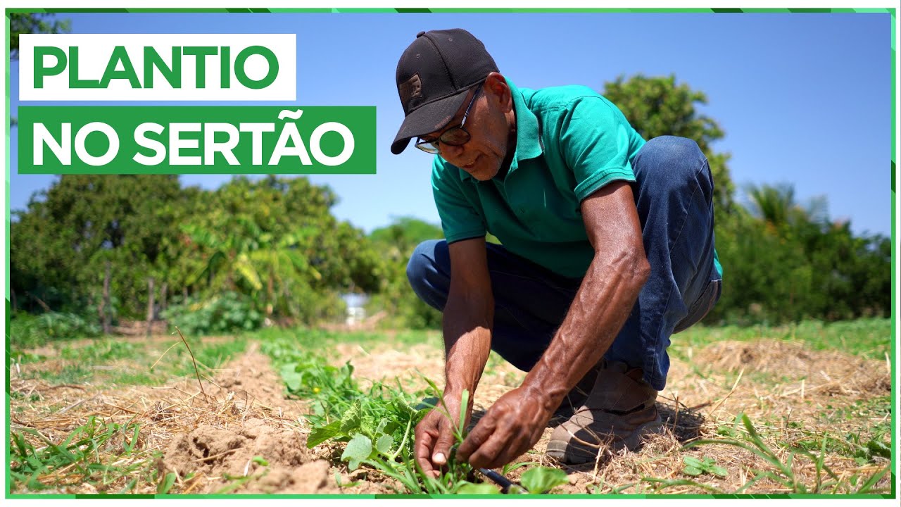 PETROLINA: Produção de alimentos, no Rio São Francisco!