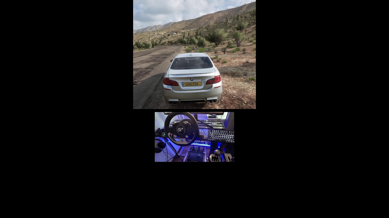 Forza Horizon 5 Live steering wheel