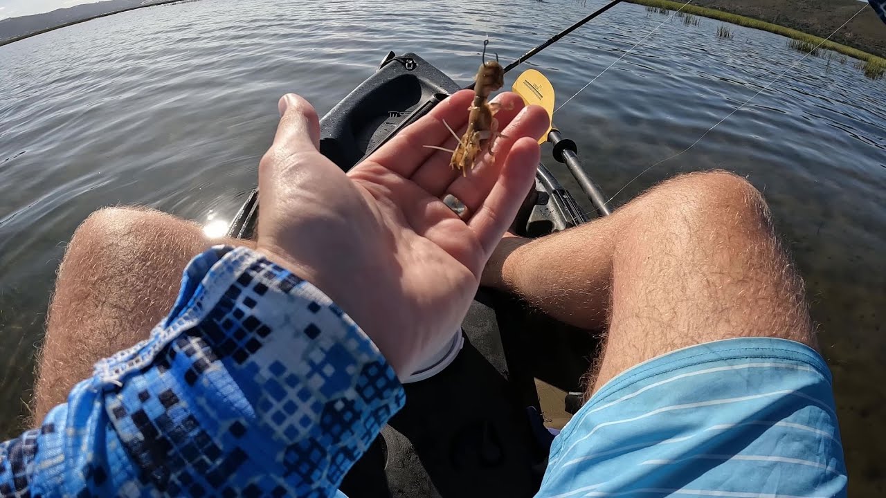 Kayak fishing targeting SPOTTED GRUNTER in Knysna Lagoon | LIGHT TACKLE ESTUARY FISHING