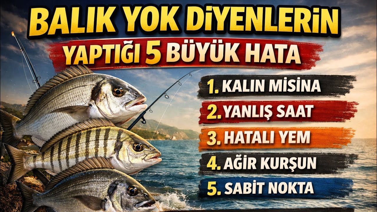 BALIK YOK DİYENLERİNYAPTIĞI 5 BÜYÜK HATA ‼️