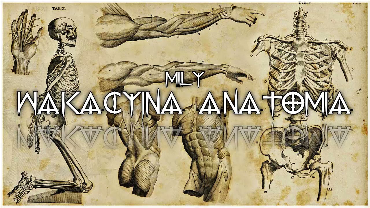 Miły - Wakacyjna Anatomia [Promomix]
