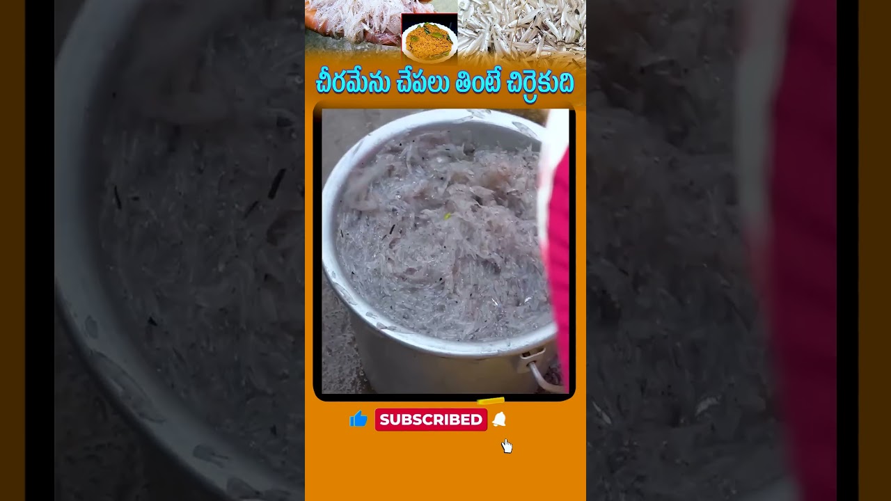 The price of cheeramenu fish is 1 kg 4000 rupees? | did you know the history of cheeramenu fish |...