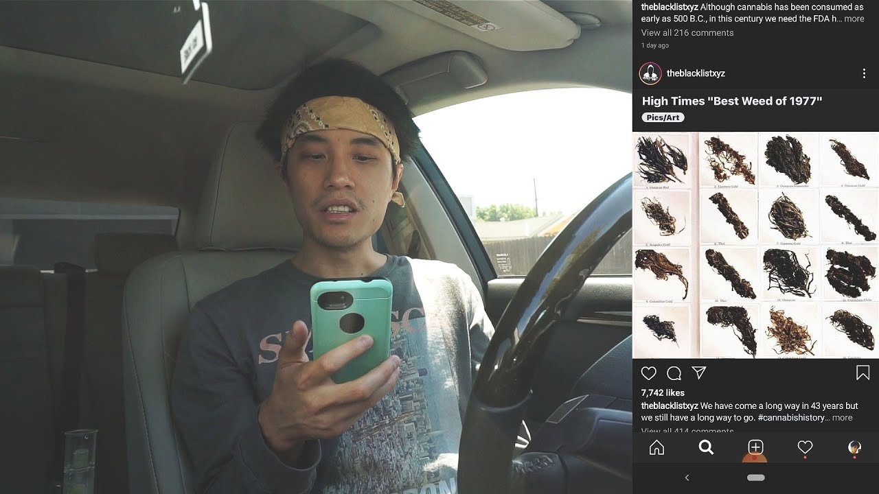 Reacting To Weed From 1977