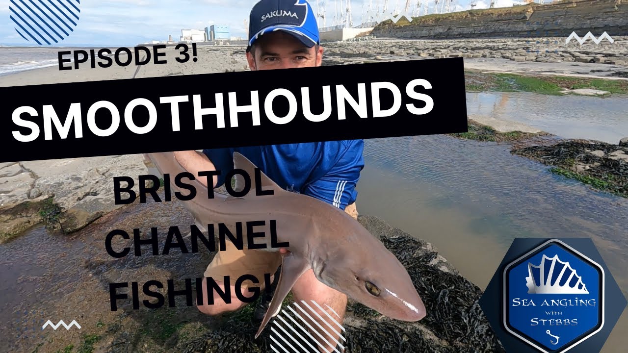 Smooth Hound Fishing @ Shurton reefs/  Hinkley point / Lilstock Bristol Channel Fishing