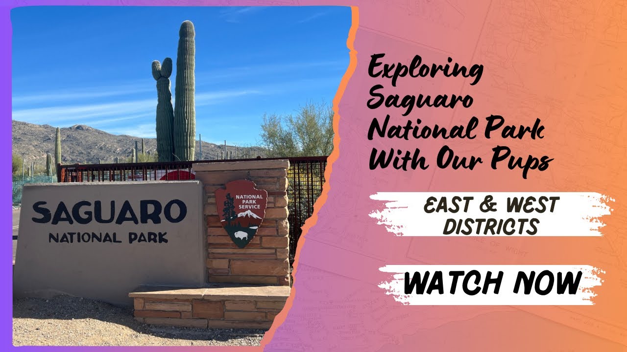 Saguaro National Park Exploring the East & West Districts 