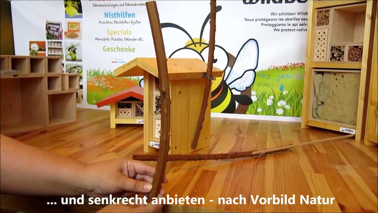 Markstängel als Nistplatz für Wildbienen