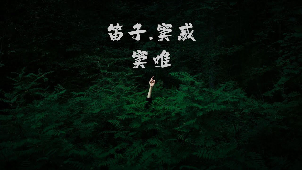 都是为了窦唯的笛子「音频剪辑」