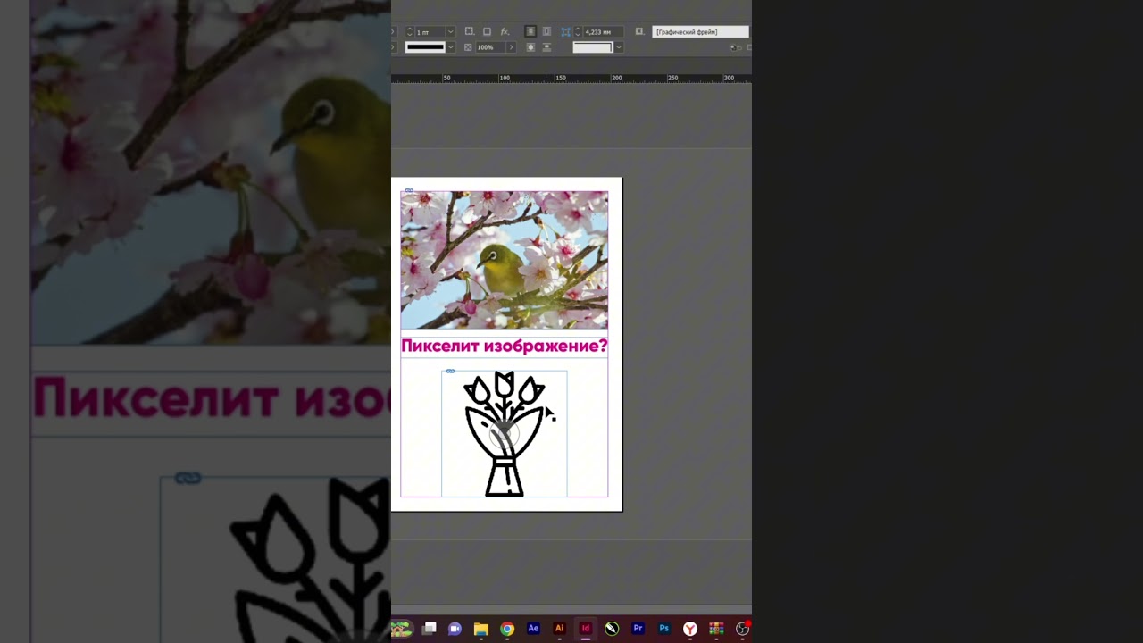 Что делать, если кажется, что внедренная картинка в InDesign пикселит?  #курсыдизайна  #indesign