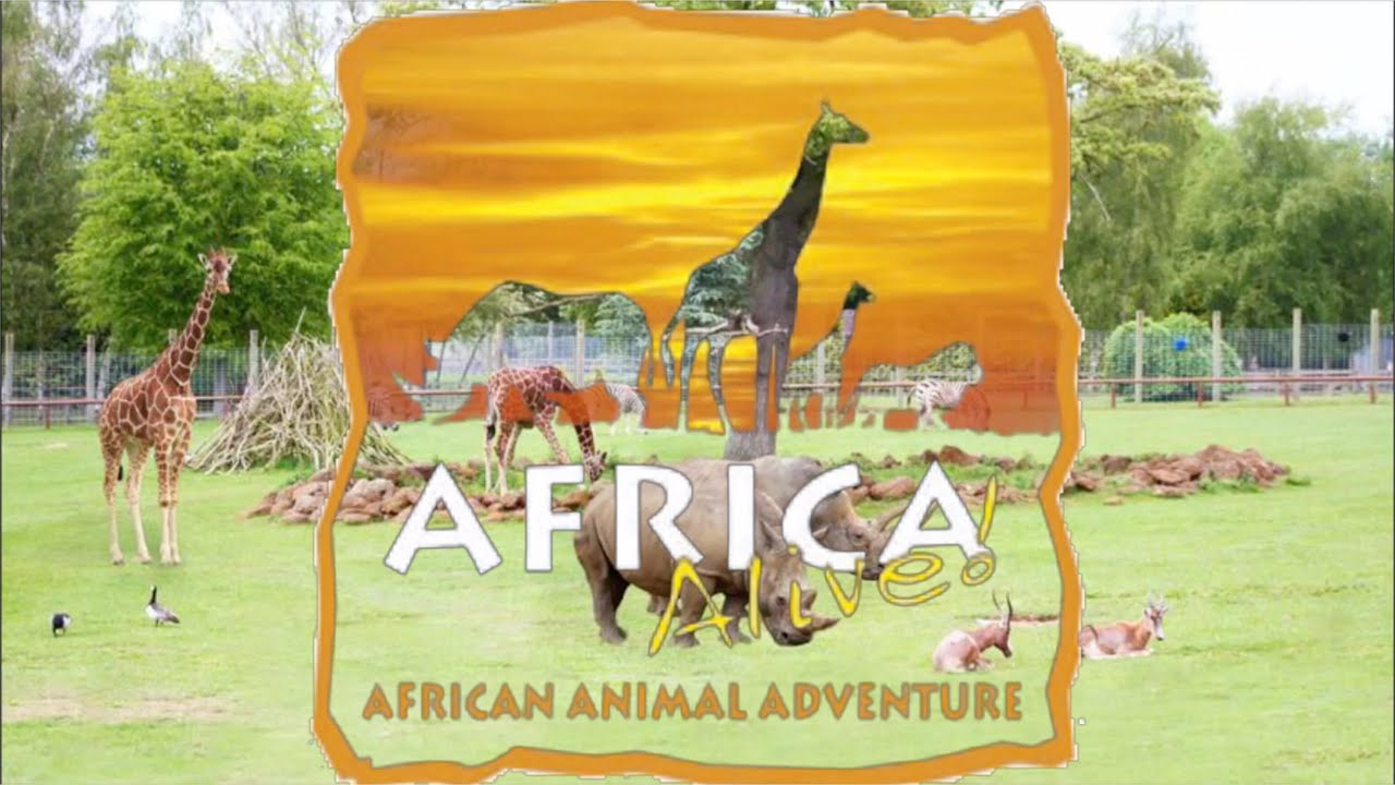 AFRICA ALIVE | Zoo in Kessingland, England