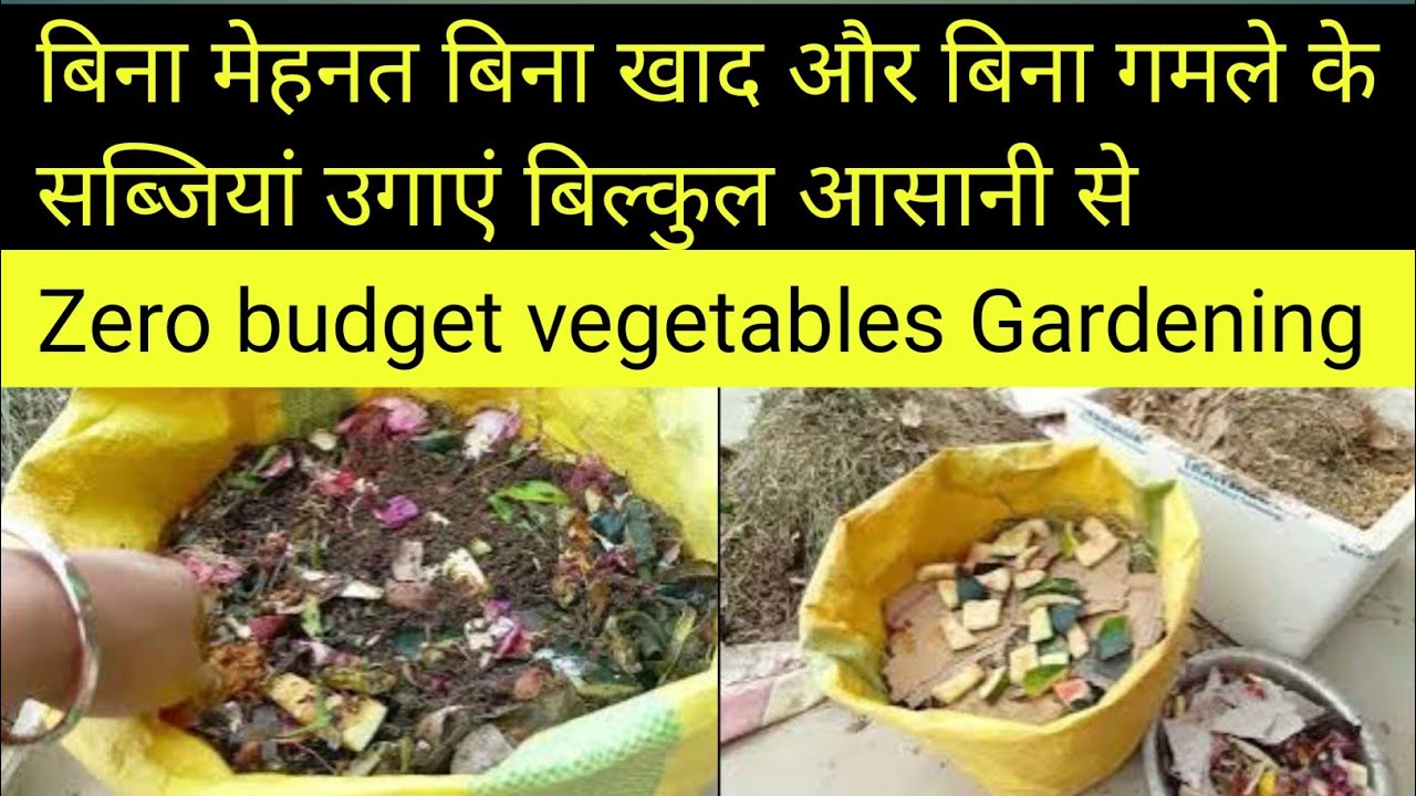 बिना खाद बिना गमले के घर की छत पर उगाएं सब्जियां /Grow vegetables on the rooftop without any expense